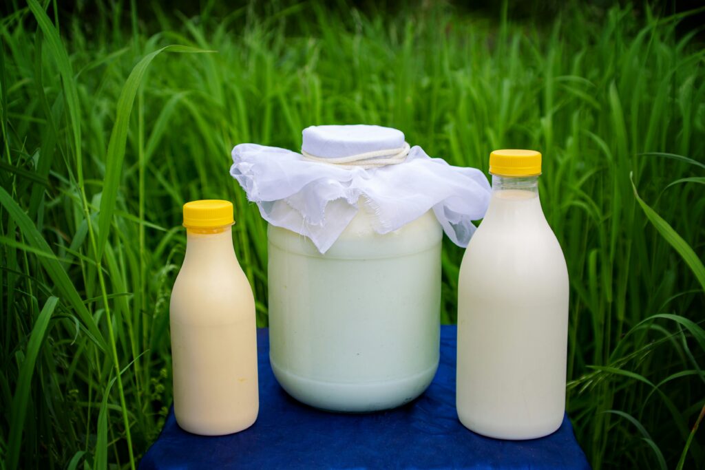 mejores alimentos